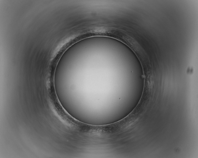 X0000113320728200909211155