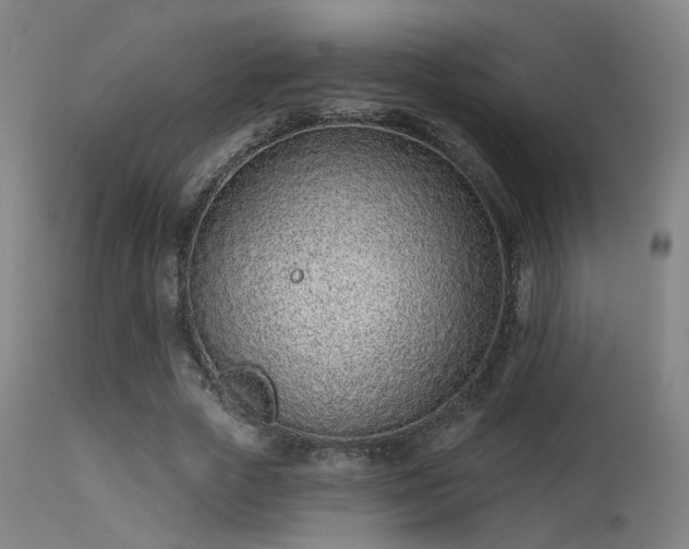 X0000113320729200909211155