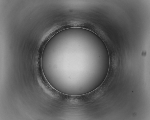 X0000113320730200909211155