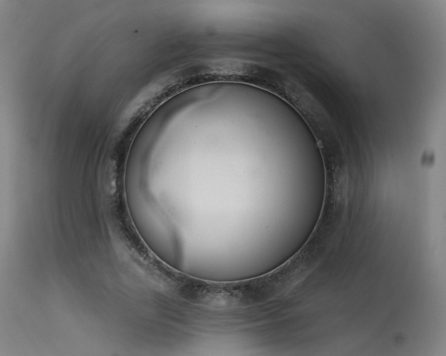 X0000113320731200909211155