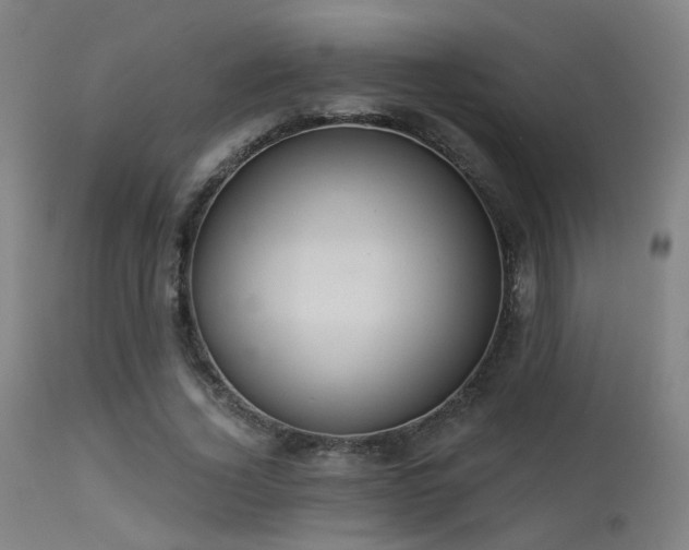 X0000113320732200909211155