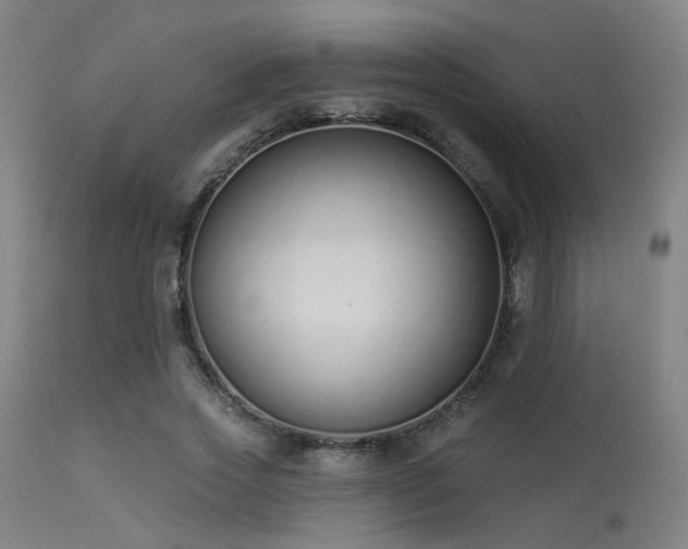 X0000113320733200909211155