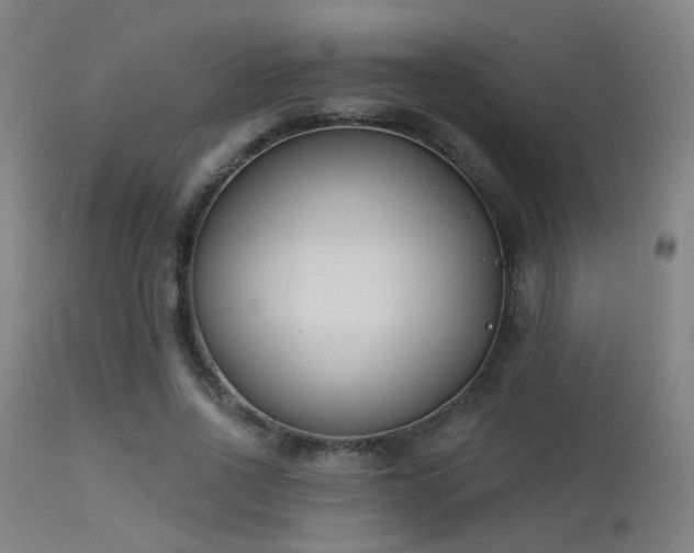 X0000113320734200909211155