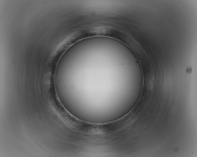 X0000113320735200909211155