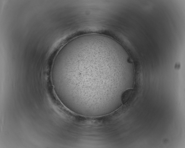 X0000113320736200909211155