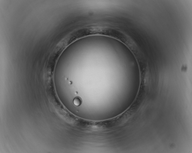 X0000113320737200909211155