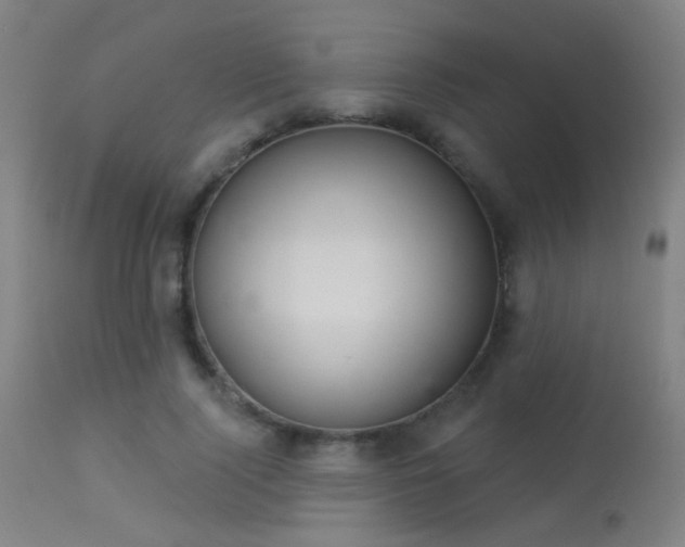 X0000113320740200909211155