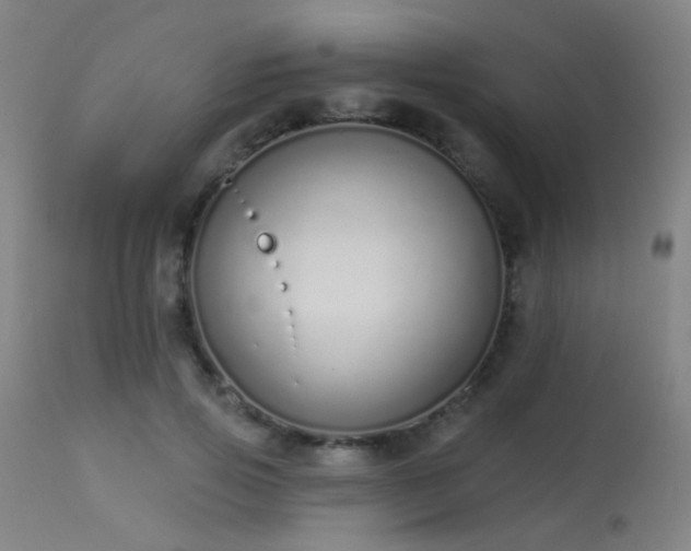 X0000113320741200909211155