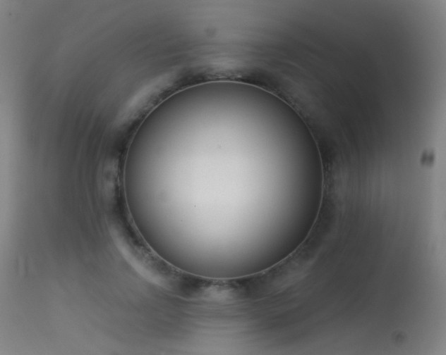 X0000113320742200909211155