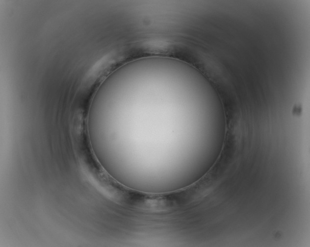 X0000113320744200909211155