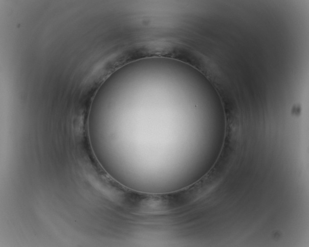 X0000113320745200909211155