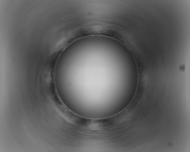 X0000113320746200909211155