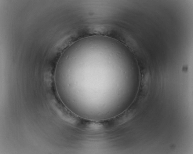 X0000113320749200909211155