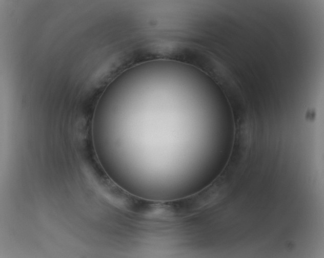 X0000113320750200909211155