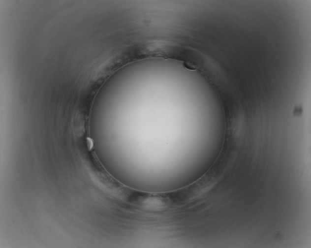 X0000113320751200909211155