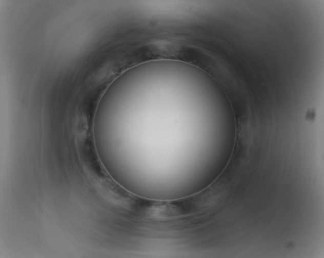 X0000113320752200909211155