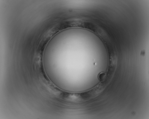 X0000113320753200909211155