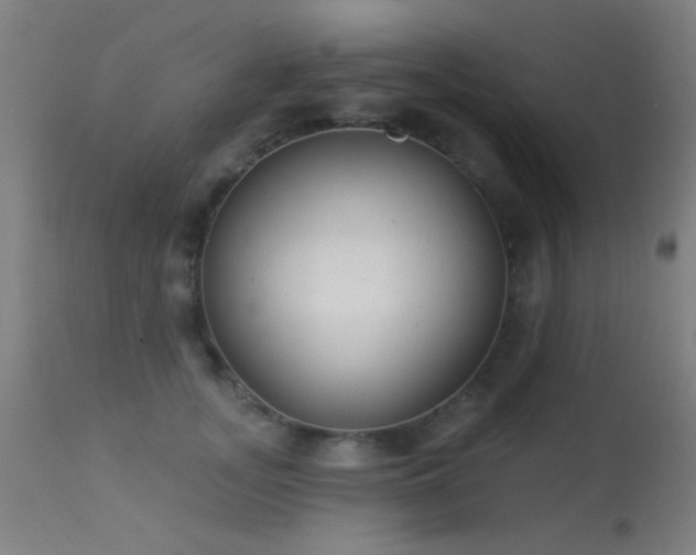 X0000113320755200909211155