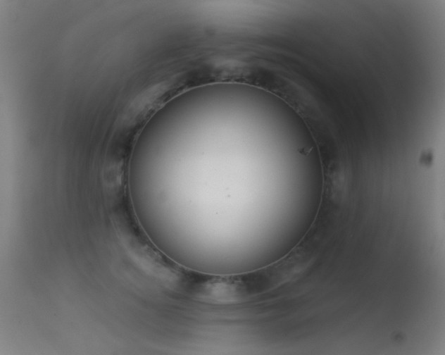 X0000113320756200909211155