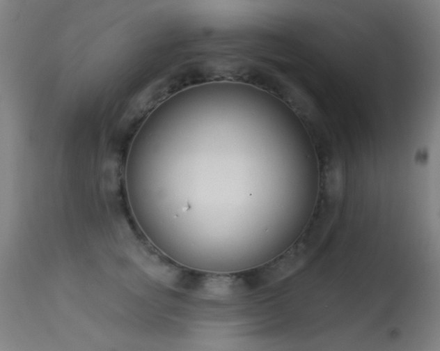 X0000113320757200909211155