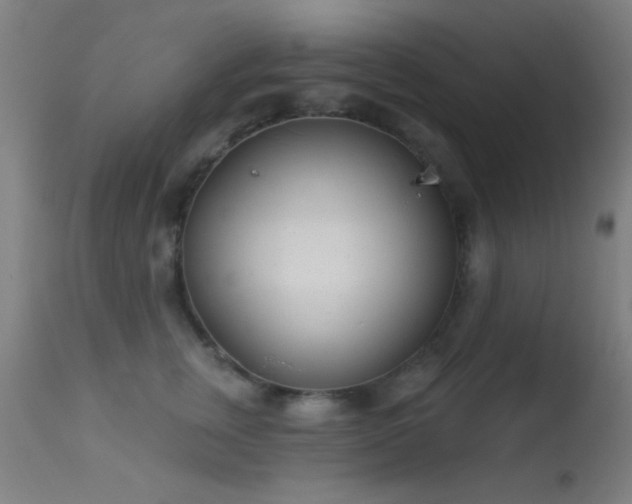 X0000113320759200909211155