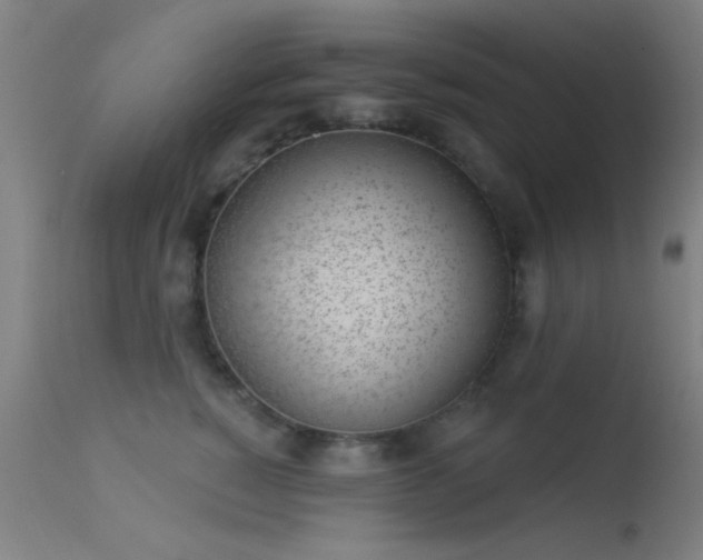 X0000113320760200909211155