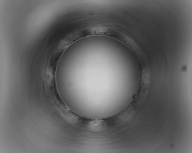 X0000113320761200909211155