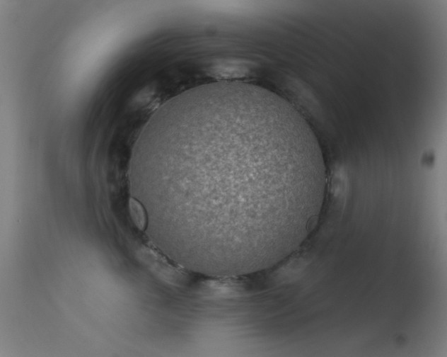 X0000113320763200909211155