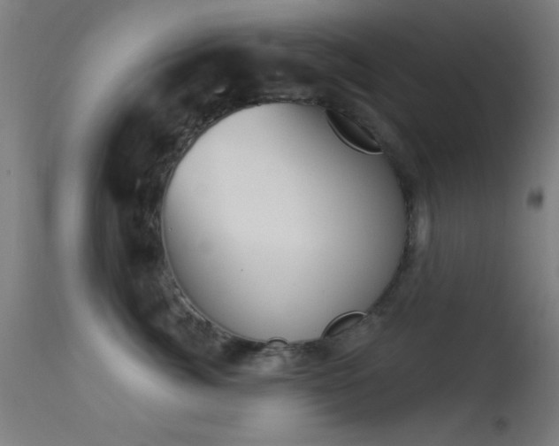 X0000113320764200909211155