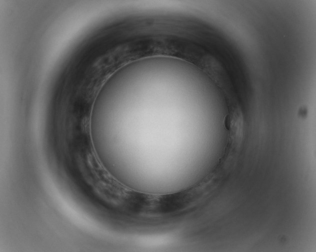 X0000113320765200909211156