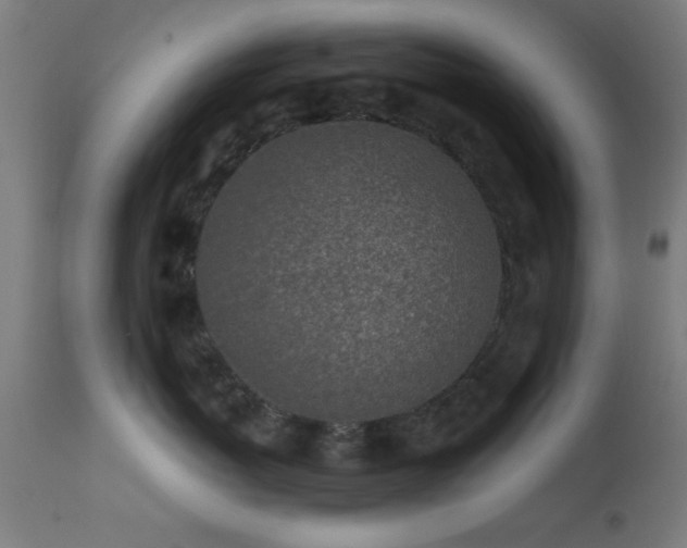 X0000113320767200909211156