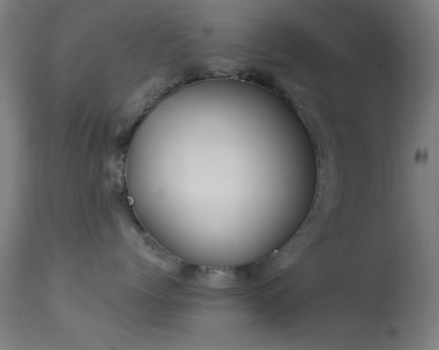 X0000113320768200909211156