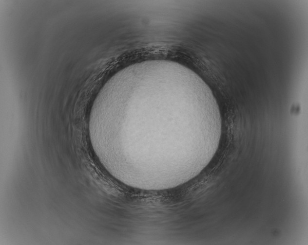 X0000113320769200909211155