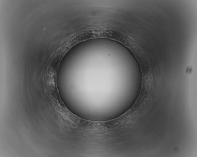 X0000113320770200909211155