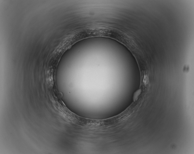 X0000113320771200909211155