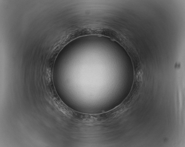 X0000113320772200909211155