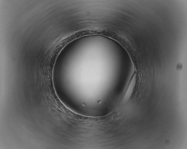 X0000113320773200909211155