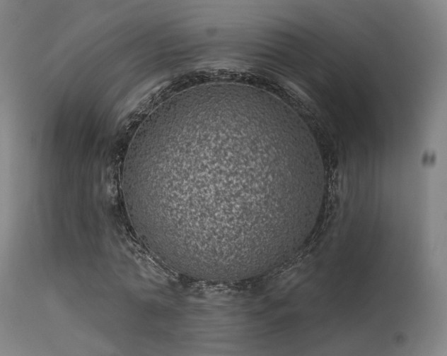 X0000113320774200909211155