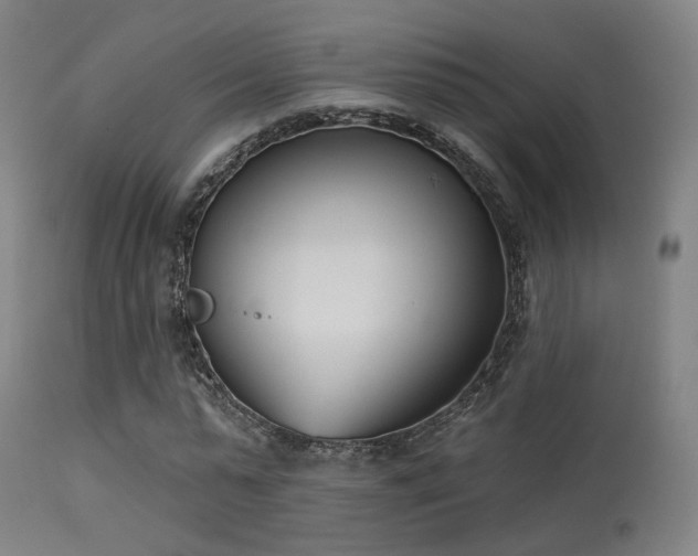 X0000113320775200909211155