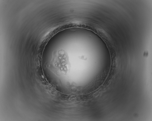 X0000113320776200909211155