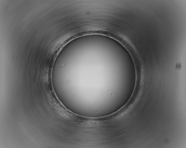 X0000113320777200909211155