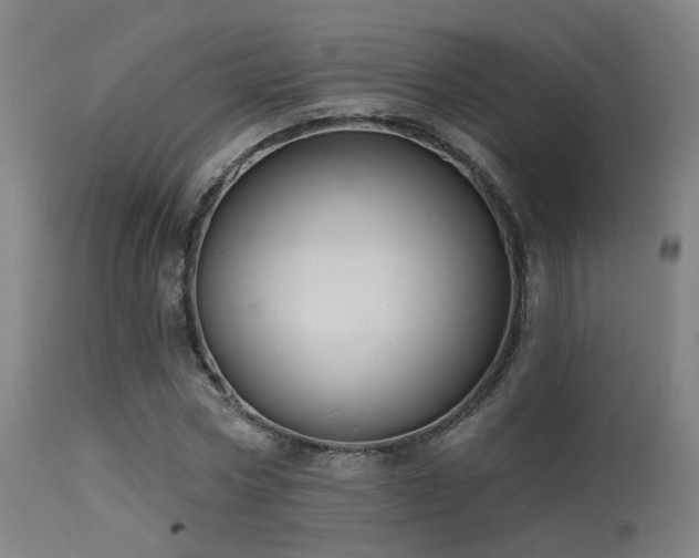 X0000113320778200909211155