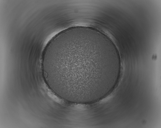 X0000113320779200909211155