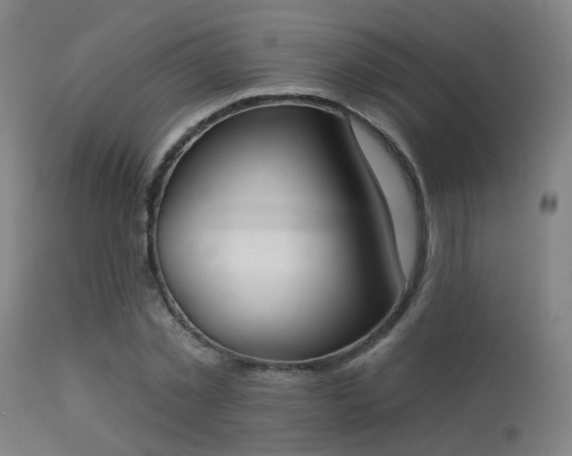 X0000113320781200909211155