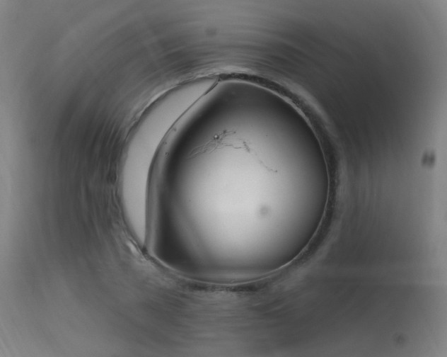 X0000113320785200909211155