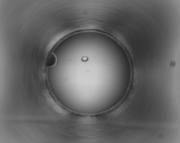 X0000113320789200909211155