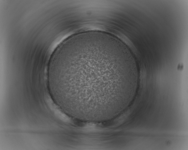 X0000113320790200909211155