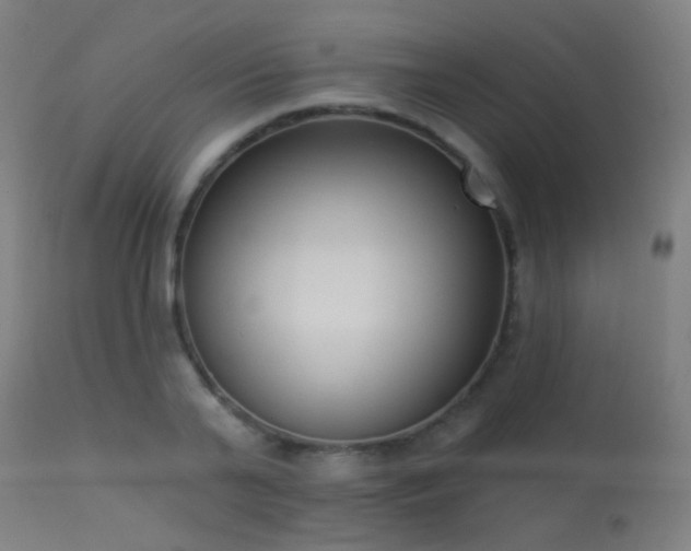 X0000113320791200909211155