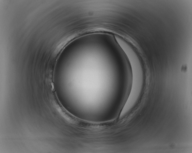 X0000113320793200909211155