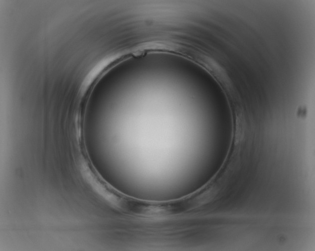 X0000113320796200909211155